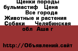 Щенки породы бульмастиф › Цена ­ 25 000 - Все города Животные и растения » Собаки   . Челябинская обл.,Аша г.